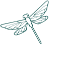 butterfly icon